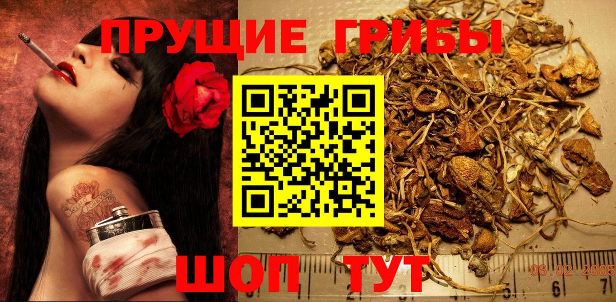 Самара  Псилоцибиновые грибы ЛСД  Псилоцибиновые грибы Psilocybe  Вход с VPN 